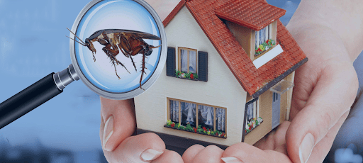 Residential pest control tips for summer: